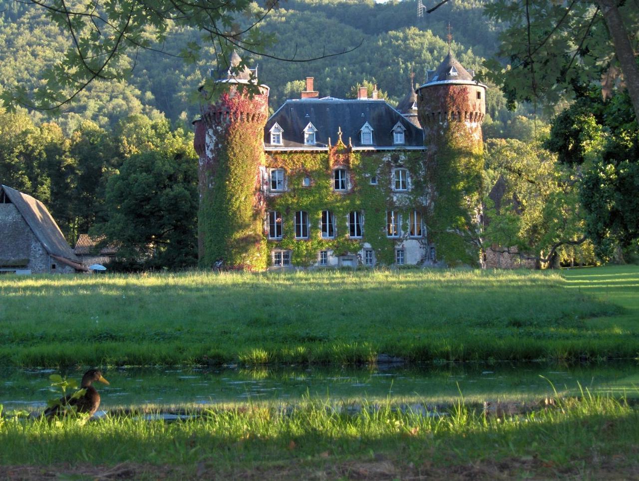 Chateau De Sedaiges Marmanhac Exteriér fotografie